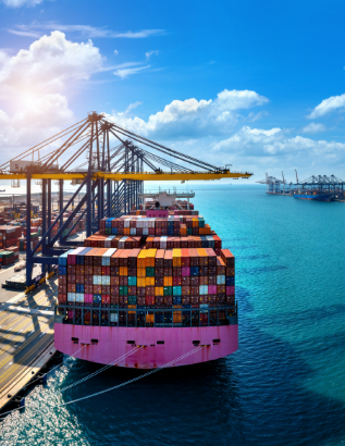 Denizyolu Taşımacılığı